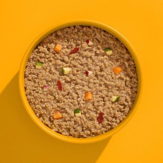 Fred Meal Poulet - Courgette & Curcuma