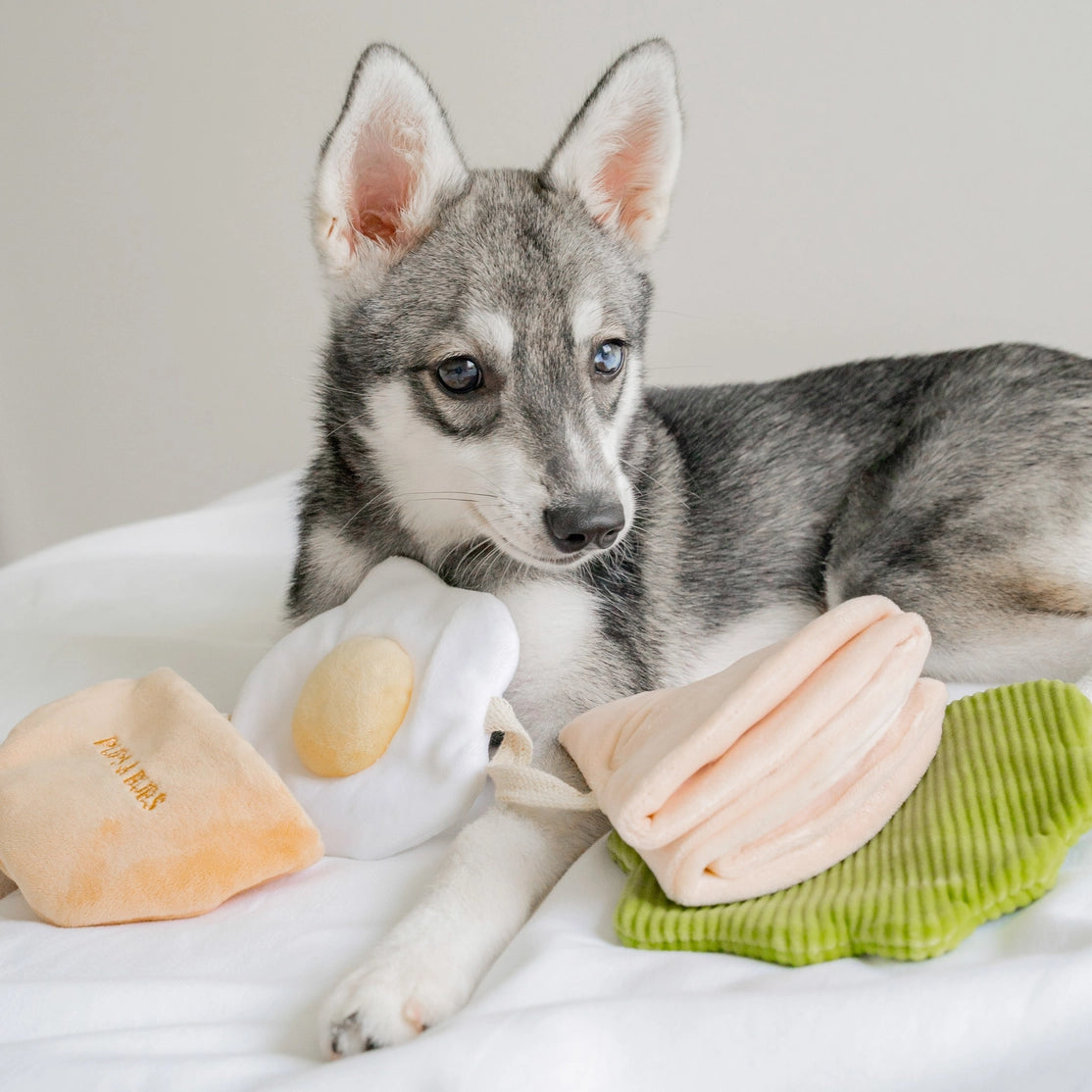 Jouet de fouille - Pita Kebab - Pups & Bud